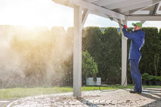 Best Sidewalk and Walkway Cleaning  in Lillington, NC